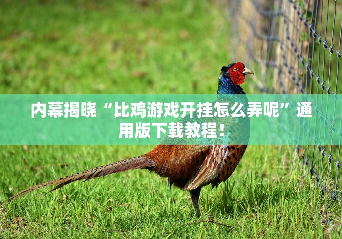 玩家必学攻略“微信打麻将真的有挂吗”掌握辅助功能必胜规则