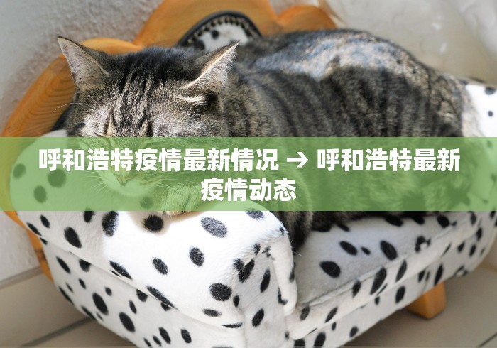 一键必胜“中至南昌麻将可以开挂吗”开挂安装教程