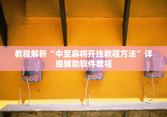 教程解析“中至麻将开挂教程方法”详细辅助软件教程