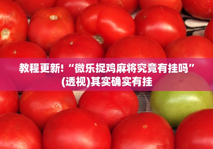教程辅助“唯思竞技麻将开挂辅助作弊”开挂详细教程
