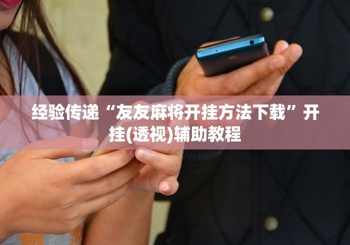 玩家必看教程“随意玩辅助器开挂”详细分享装挂步骤教程