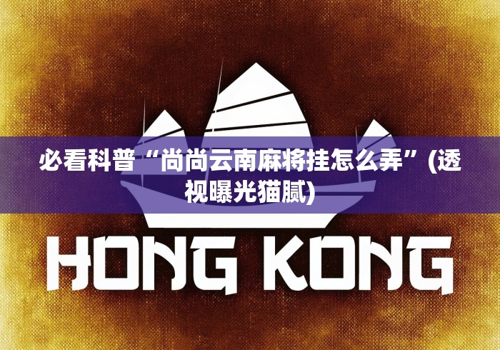 专家分析“好运晃晃红中麻将挂怎么开的”真的有挂