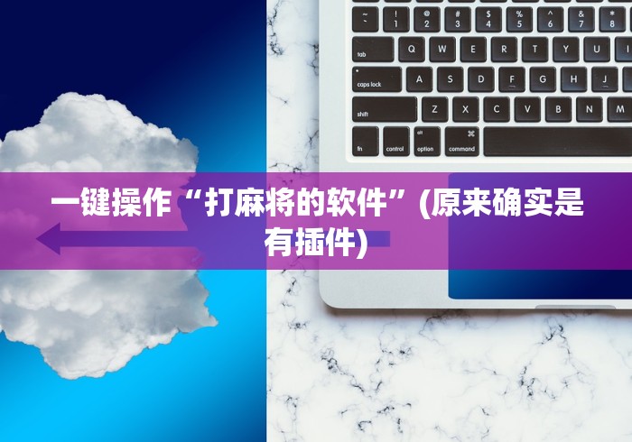 一键操作“打麻将的软件”(原来确实是有插件)