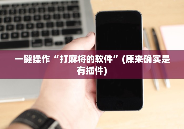 一键操作“打麻将的软件	”(原来确实是有插件)