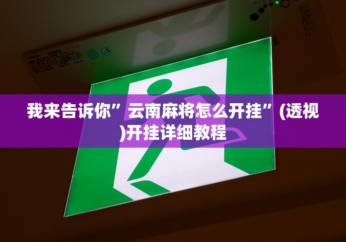 必学教你安装“贵州麻将有没有挂(详细透视开挂教程)