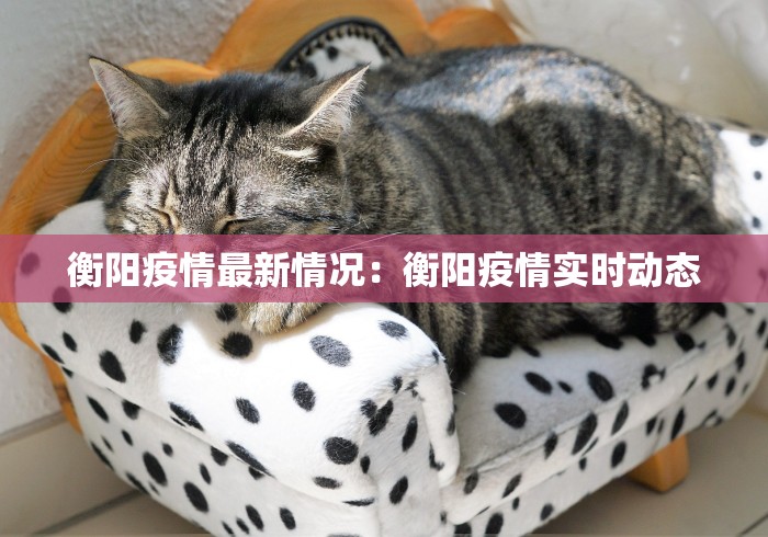 一分钟看懂“雀神广东麻将有挂是真的吗”真实开挂技巧分享