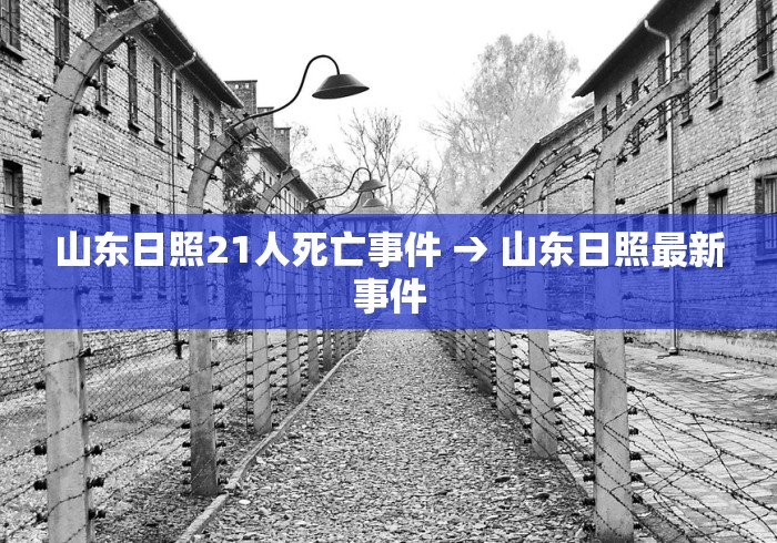 玩家爆料“禅游四川麻将修改器	”(详细开挂教程)