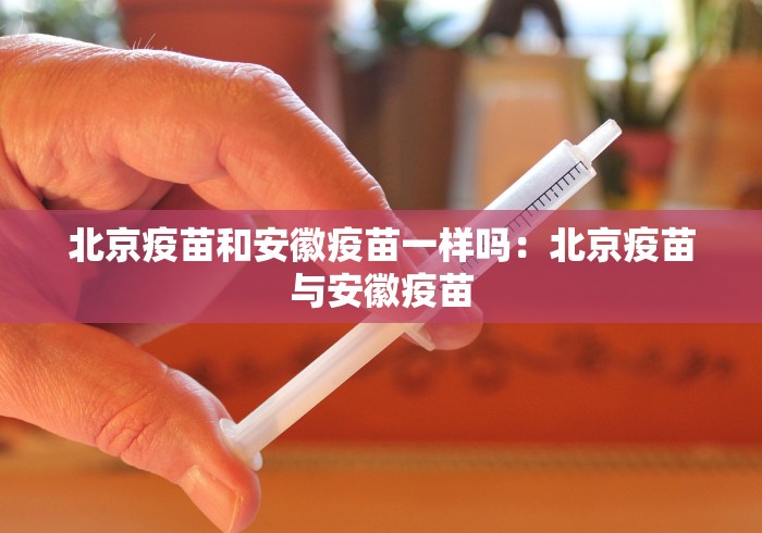 秒懂经验“捉鸡麻将怎么打才能赢(确实真的有挂)