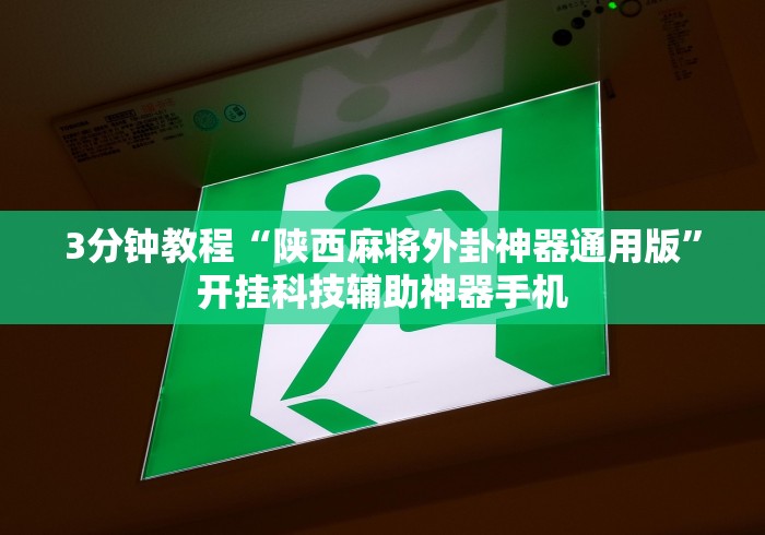 3分钟教程“陕西麻将外卦神器通用版	”开挂科技辅助神器手机