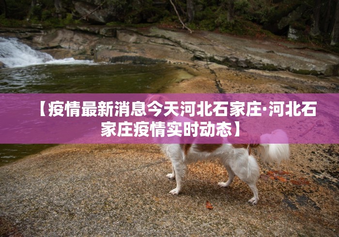 最新引进“途游斗地主有挂吗?(详细透视开挂教程)