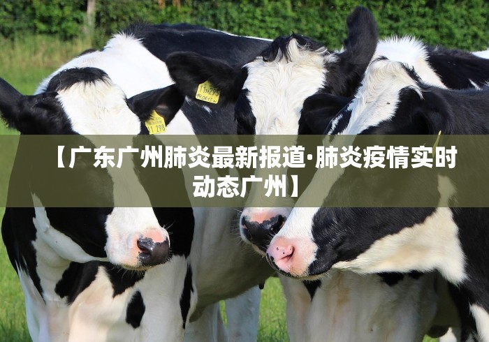 必看教程“腾讯欢乐麻将好运来有用吗”详细开挂玩法