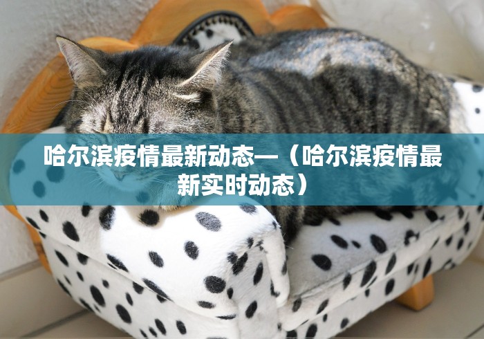 独家脚本实测“百万牛大厅怎么开挂”详细开挂玩法
