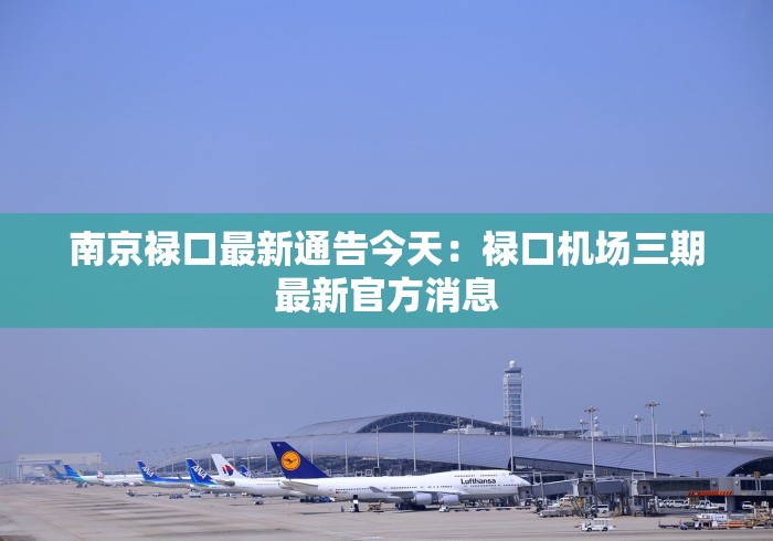 知识科普“白金岛怎么买挂”原来可以开挂