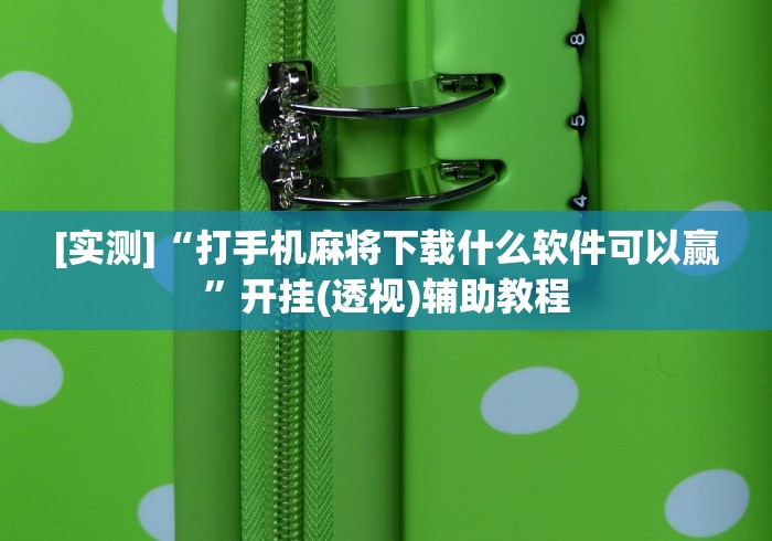 专用辅助“爱玩辽宁麻将如何使用辅助插件{透视辅助}全揭秘