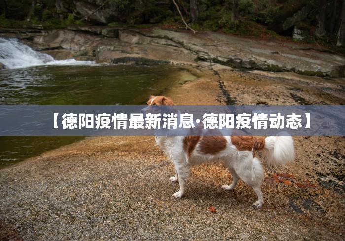 2026首发辅助“微乐麻将必赢神器	”开挂(透视)辅助教程