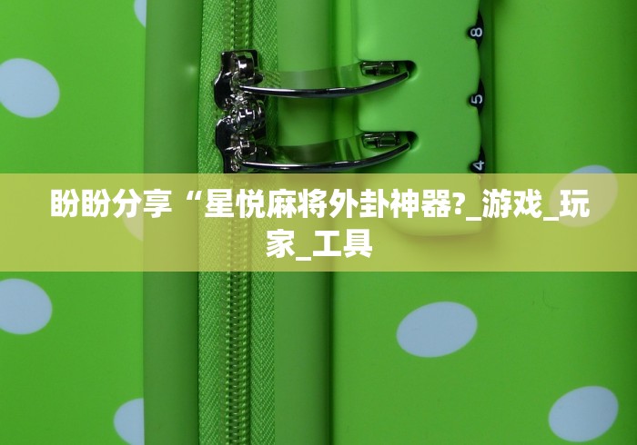 盼盼分享“星悦麻将外卦神器?_游戏_玩家_工具 盼盼分享“星悦麻将外卦神器?_游戏_玩家_工具