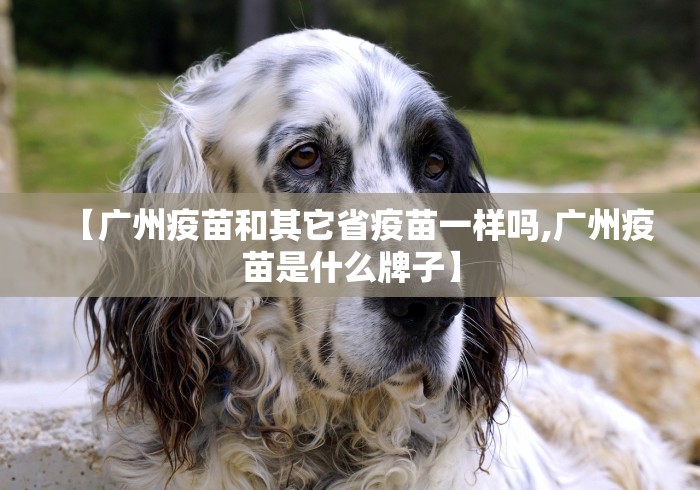 【第一消息】“四川微乐麻将装挂怎么安装”通用版下载教程!
