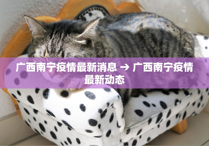 教程解析“小程序财神十三张有挂吗”附开挂脚本详细教程