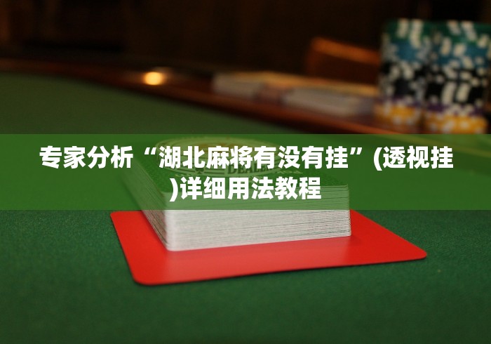 专家分析“湖北麻将有没有挂”(透视挂)详细用法教程