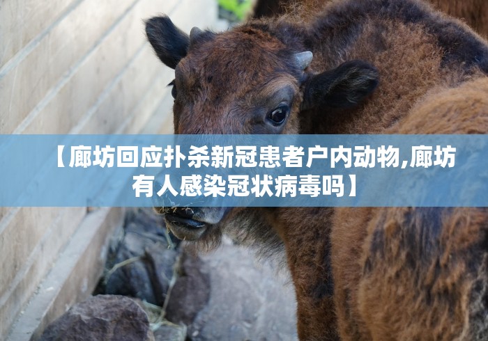 [分析]“怎么知道对方有没有开挂	”掌握辅助功能必胜规则
