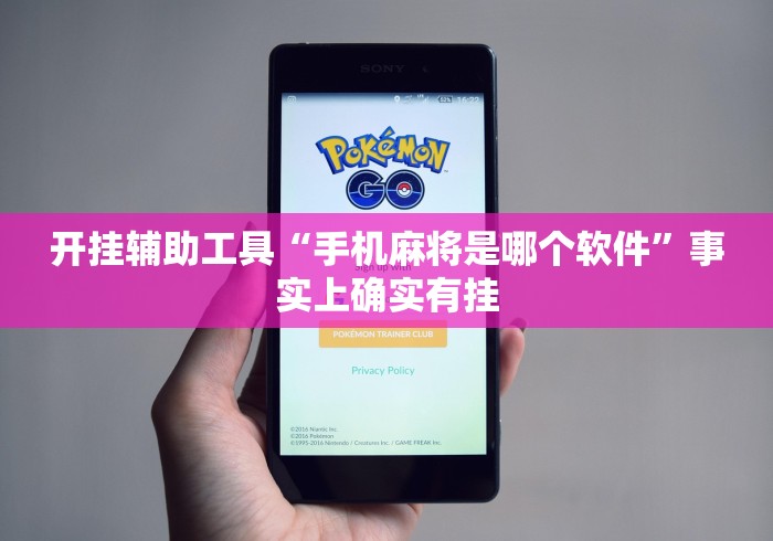 开挂辅助工具“手机麻将是哪个软件	”事实上确实有挂