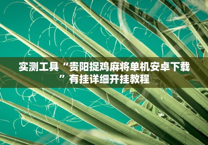 实测工具“贵阳捉鸡麻将单机安卓下载”有挂详细开挂教程