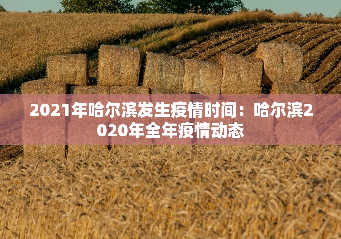玩家必备攻略!手机麻将输赢规律图解	”(果然有透视挂)
