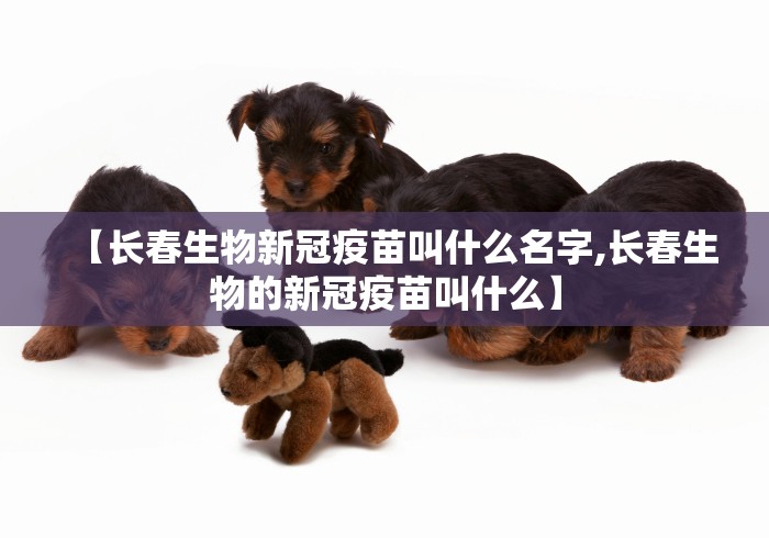 必看教程“手机麻将外卦神器是真的吗”开挂辅助详细步骤