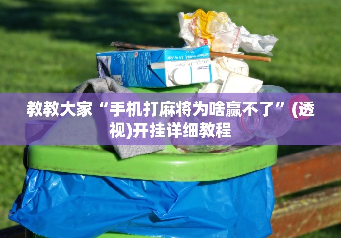 教教大家“手机打麻将为啥赢不了”(透视)开挂详细教程