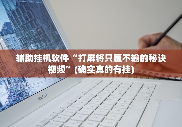 辅助挂机软件“打麻将只赢不输的秘诀视频”(确实真的有挂)