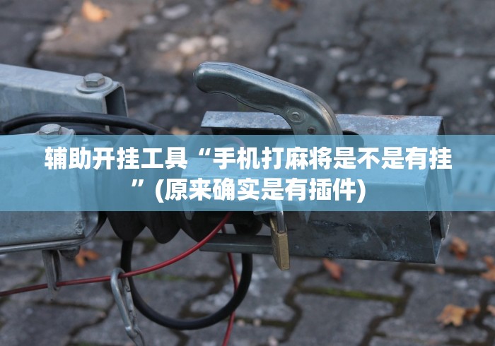 辅助开挂工具“手机打麻将是不是有挂”(原来确实是有插件)