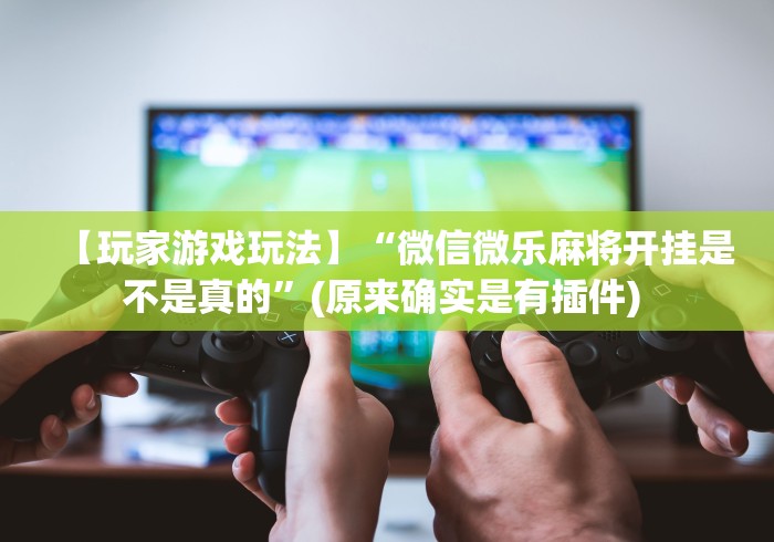 【玩家游戏玩法】“微信微乐麻将开挂是不是真的”(原来确实是有插件) 