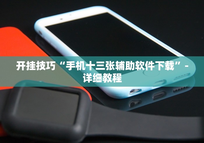 开挂技巧“手机十三张辅助软件下载”-详细教程