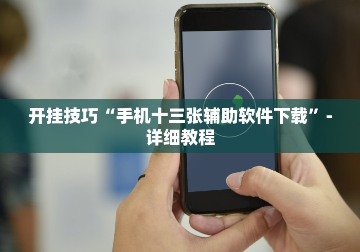 开挂技巧“手机十三张辅助软件下载	”-详细教程