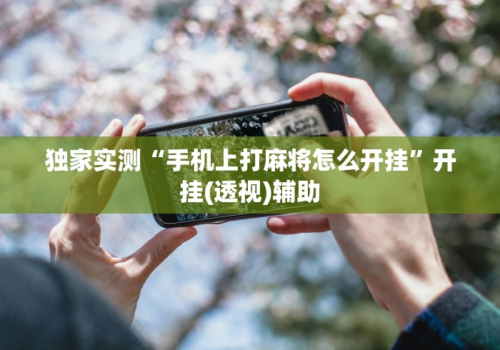 独家实测“手机上打麻将怎么开挂”开挂(透视)辅助