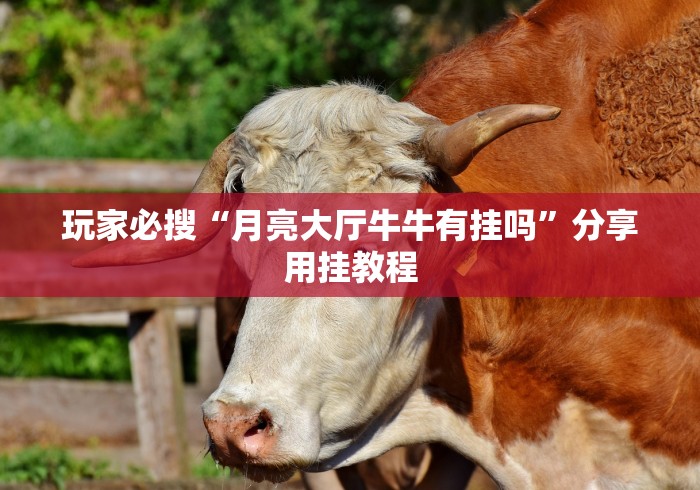 玩家必搜“月亮大厅牛牛有挂吗”分享用挂教程